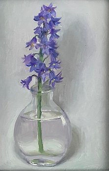 5x7 Spanish Bluebell $300 (2)