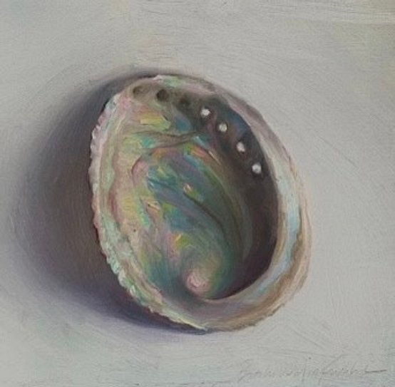 Abalone shell still life oil painting by Brooke Walker-Knoblich