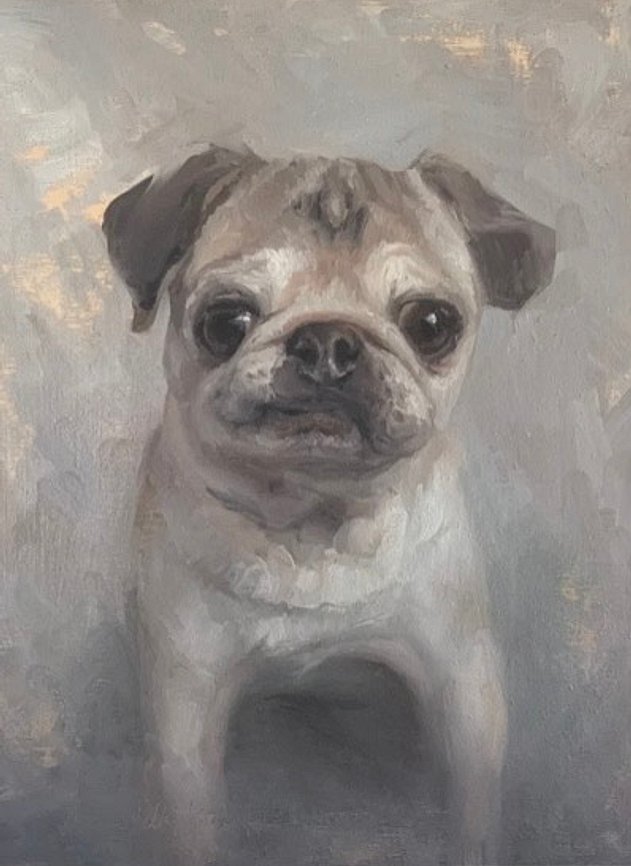 Pug portrait oil painting commission by Brooke Walker-Knoblich