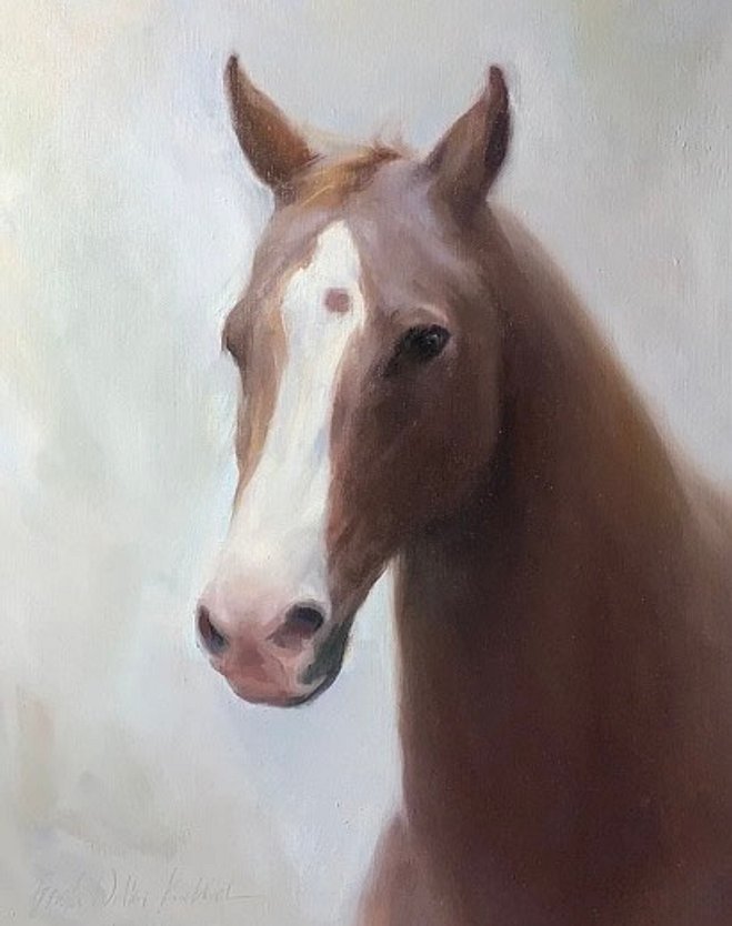 Horse portrait oil painting commission by Brooke Walker-Knoblich